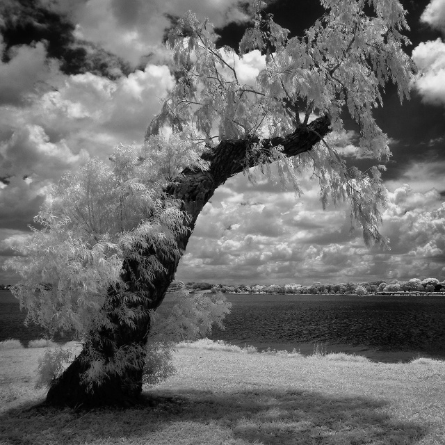 White Rock Lake, Dallas, Texas, United States