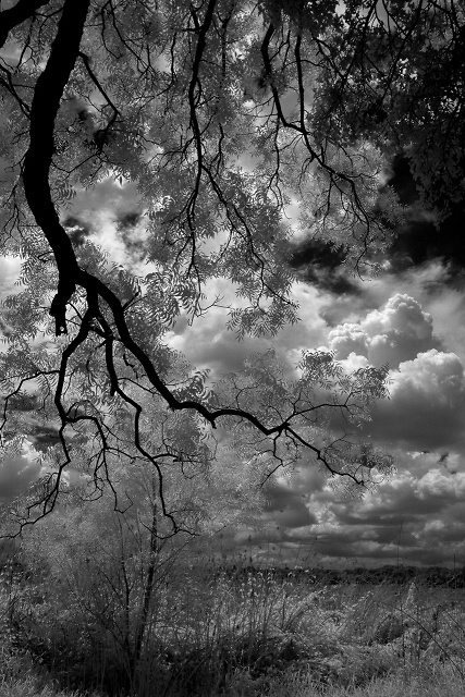 White Rock Lake, Dallas, Texas, United States