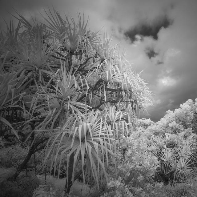 Kauai, United States