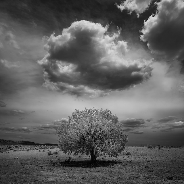 Kaibab Indian Reservation, Arizona, United States