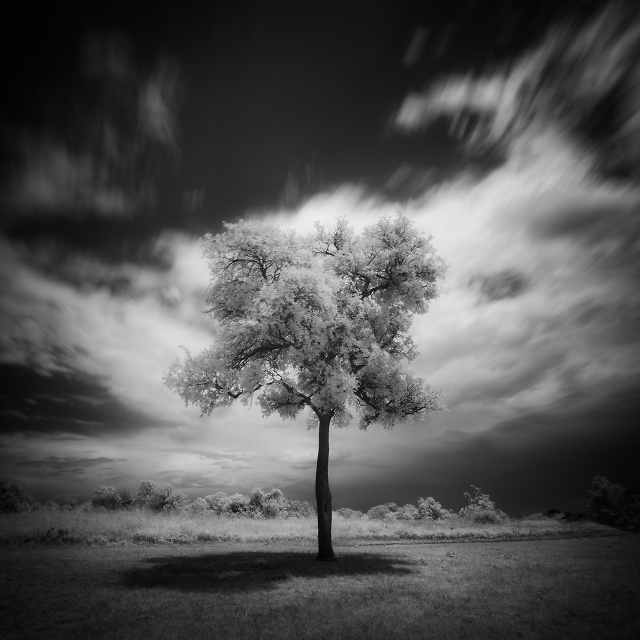 White Rock Lake, Dallas, Texas, United States