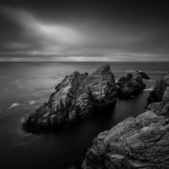 Point Lobos State Natural Reserv, Carmel, California, United States