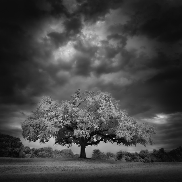 White Rock Lake, Dallas, Texas, United States