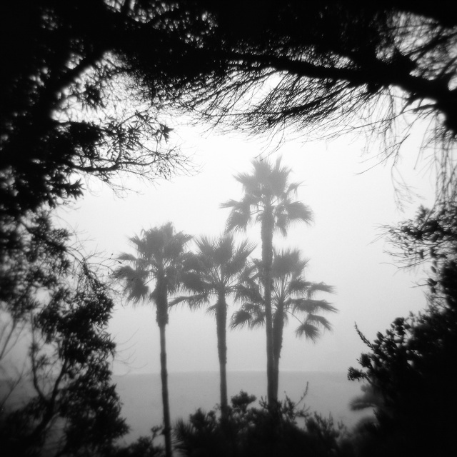 1000 Steps Beach, Laguna Beach, California, United States